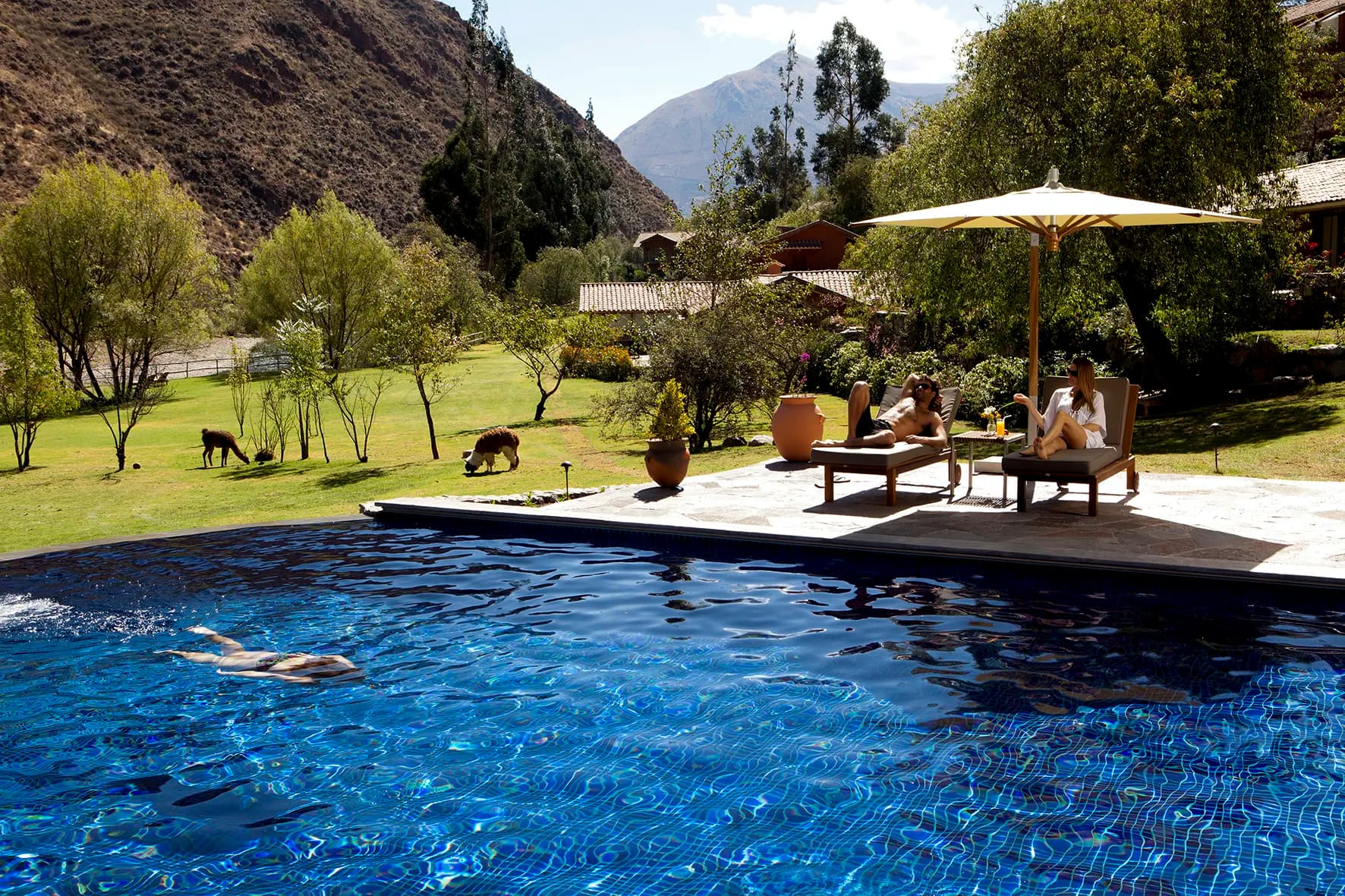 Curated Travel Experiences