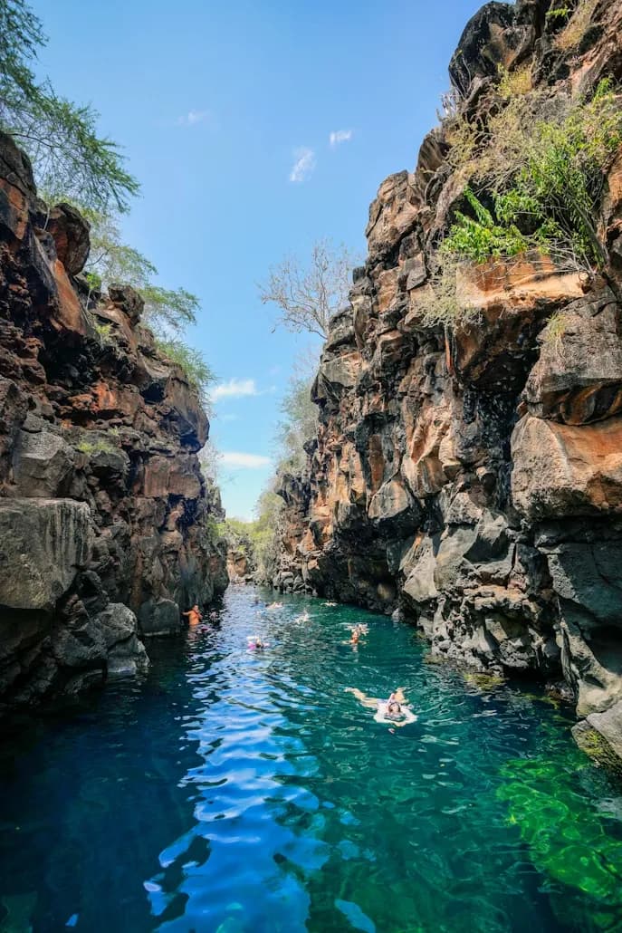 Quito & The Galápagos