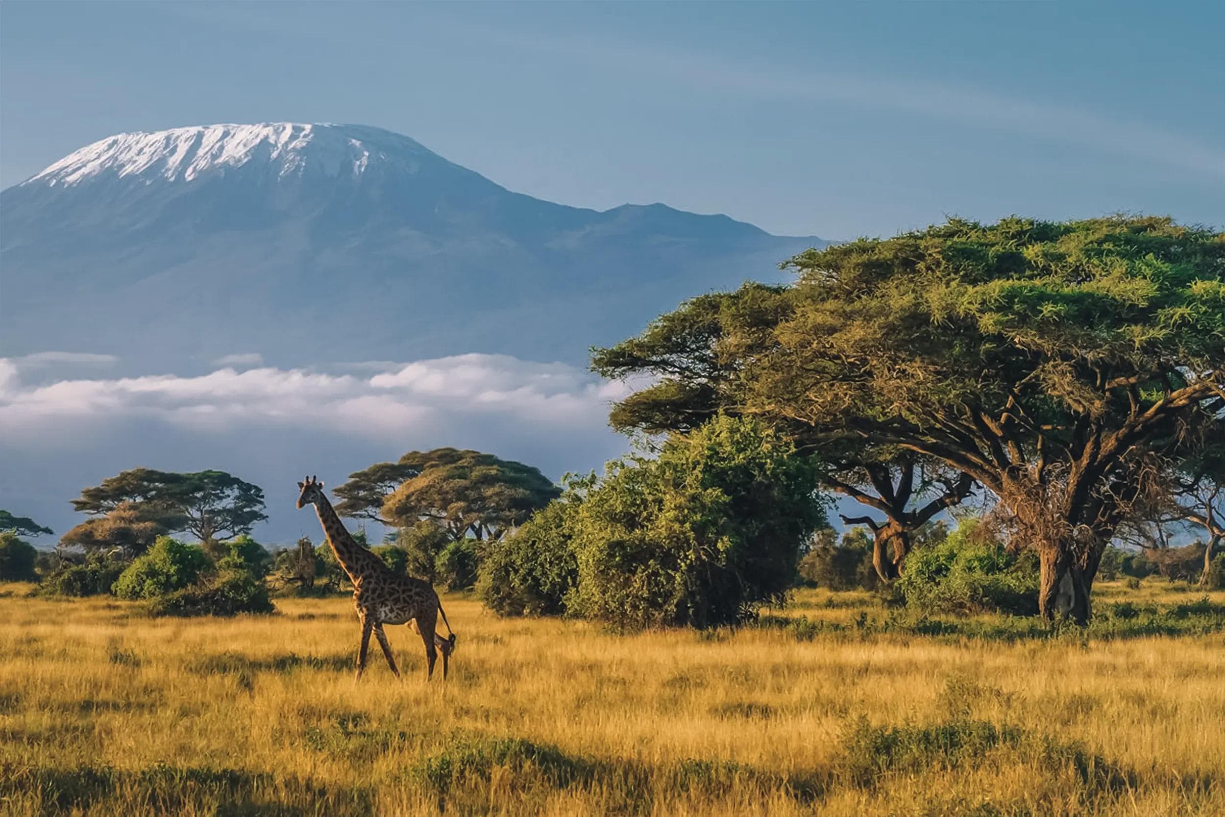 Queen Elizabeth National Park & the Rift Valley