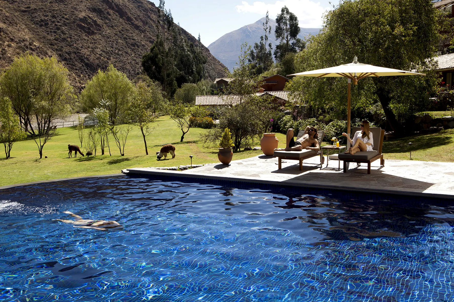 Curated Travel Experiences